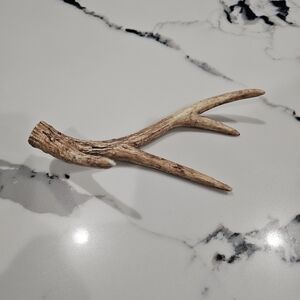 Rustic Antler Decor Piece
